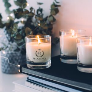 Pure Musk Elegance White Scented Candle