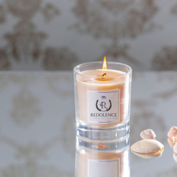 Citrus Zest Light Orange Scented Candle