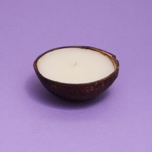 Coconut Scented Candle